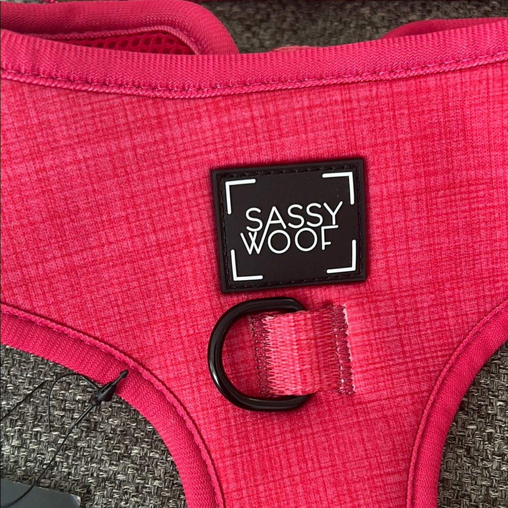 Sassy Woof Red Dog Walking Set - brand new never worn! - Picture 3 of 5